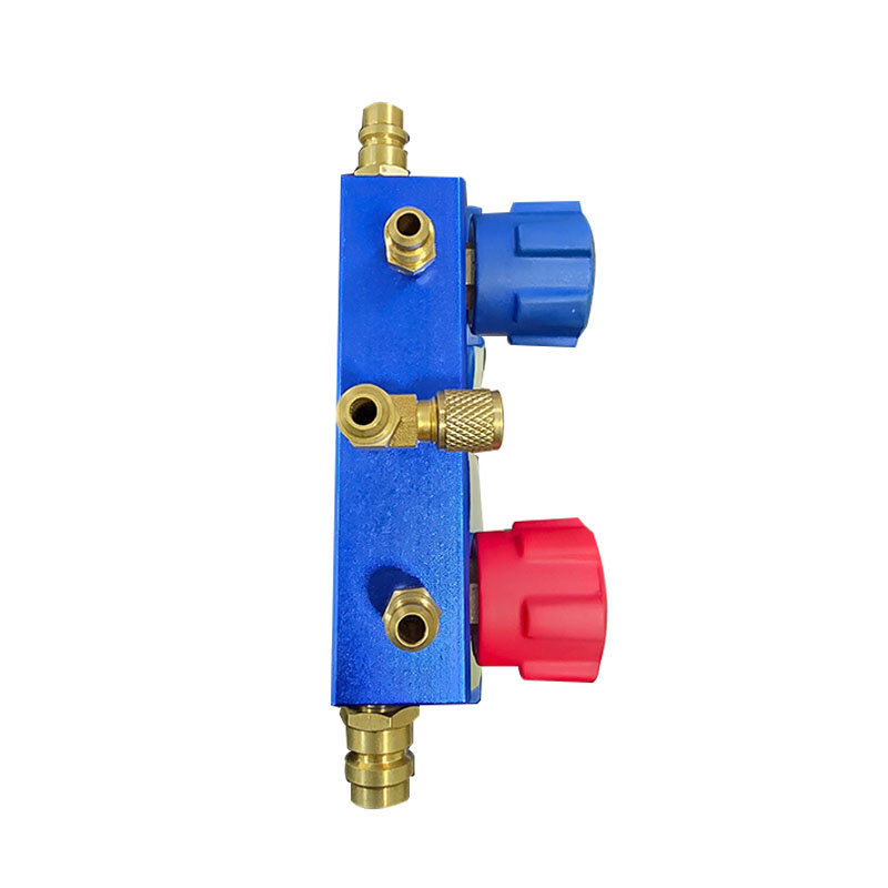 Genaue Dual -Verteiler -Messgeräte PR1002