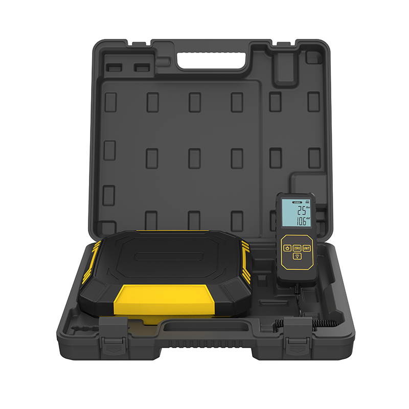 Standrad-Ladeskala RCS-320