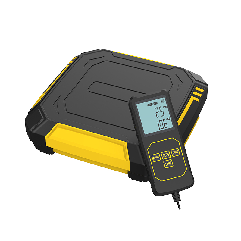 Standrad-Ladeskala RCS-320