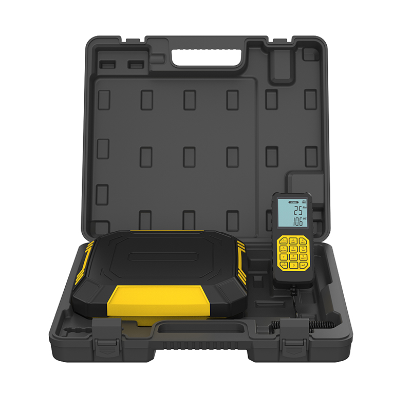 Standrad-Ladeskala RCS-320