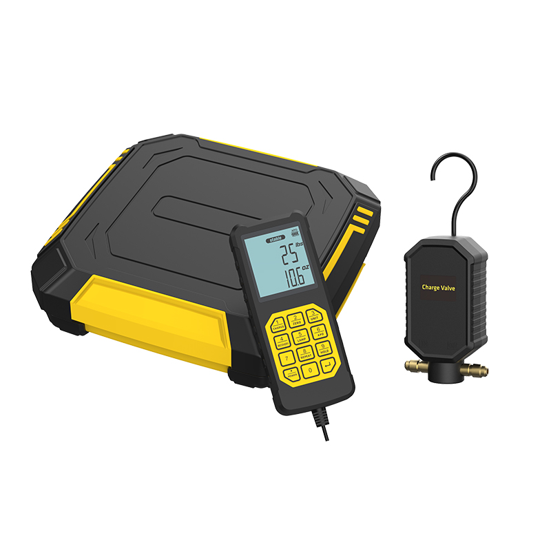 Standrad-Ladeskala RCS-320