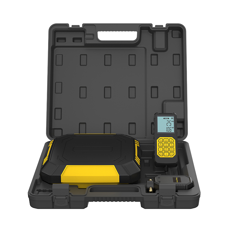 Standrad-Ladeskala RCS-320